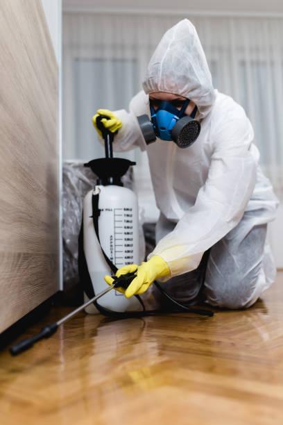 Professional Pest control in Benton Harbor, MI